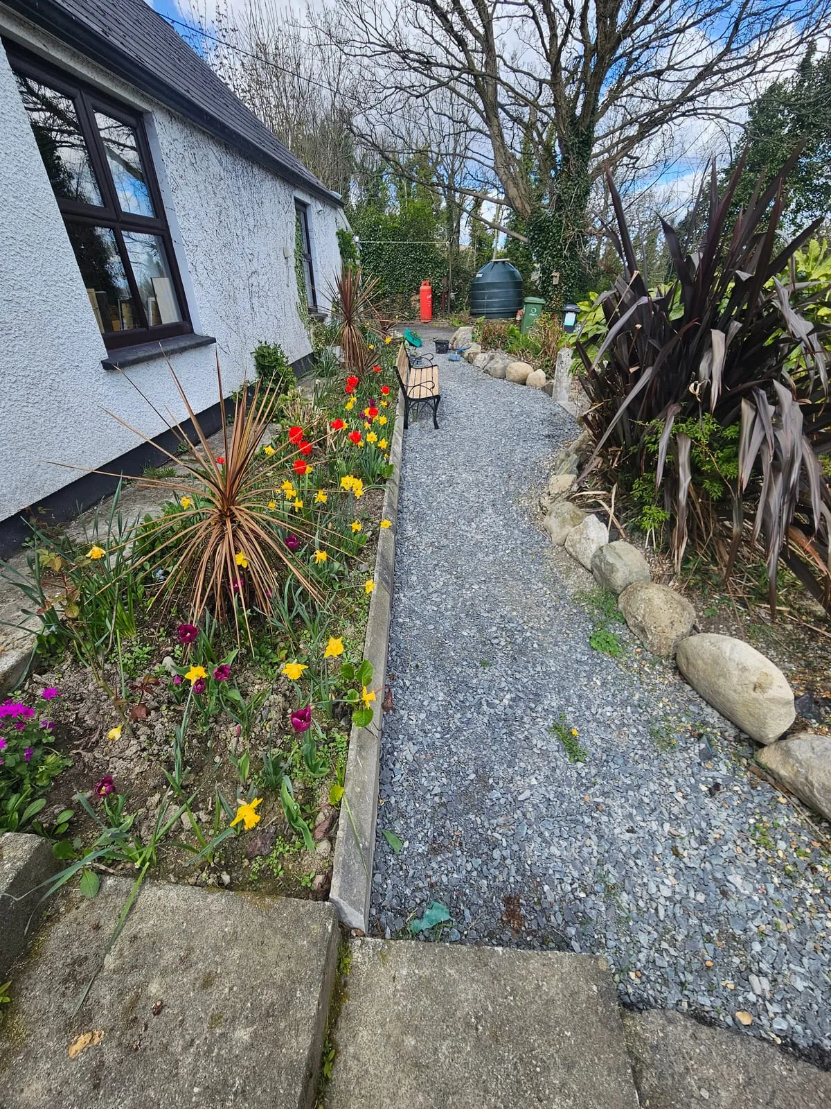 Gravel path through established planting in Bellurgan